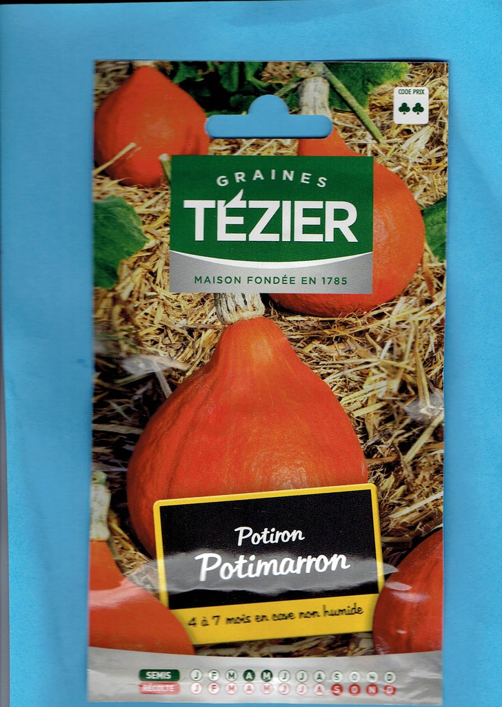 Tézier  graine  Potiron - Potimarron - Uchiki kuri - série 2
