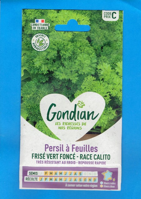 Gondian graine Persil Calito Frisé Vert Foncé 5g