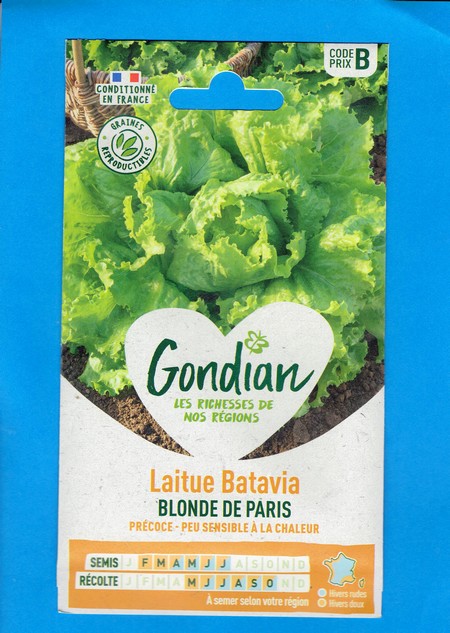 Gondian graine Laitue Batavia Blonde de Paris 4g