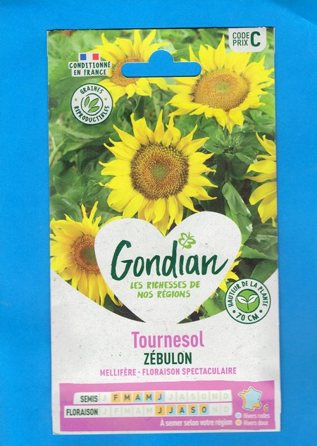 Gondian graine Tournesol Zébulon 2g