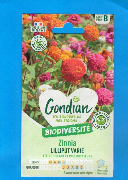 Gondian graine Zinnia Lilliput Varié 2g